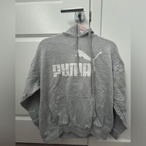 PUMA Classic Gray Hoodie for Men